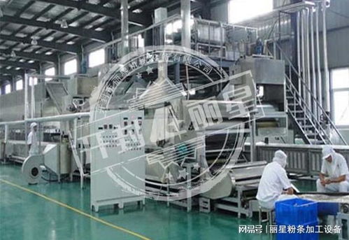 機械化加工粉條的優勢、常見問題及解決方案全解析