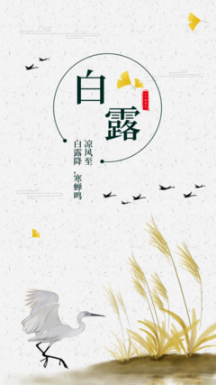 簡約傳統(tǒng)節(jié)氣白露海報在線制作軟件_好用的在線設(shè)計工具-易圖www.egpic.cn