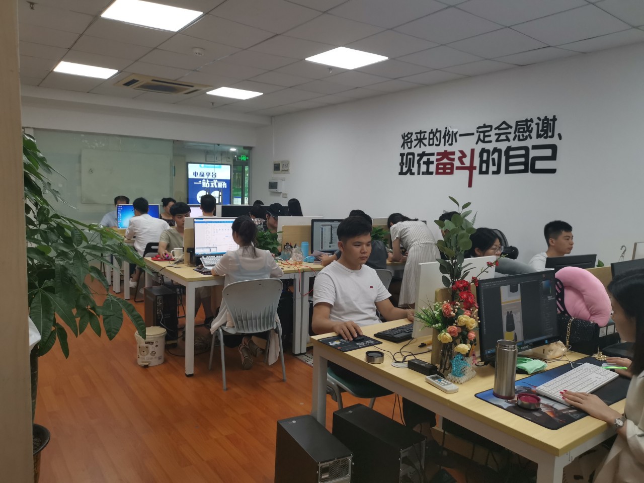 匯學教育成立扶搖電商運營孵化公司，助力電商行業新篇章