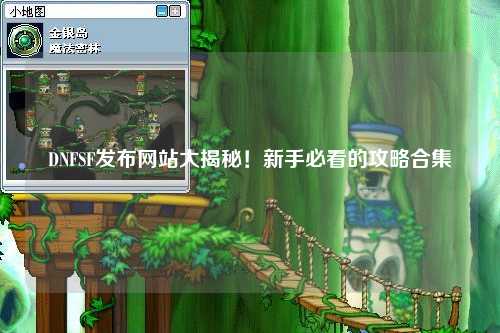 DNFSF發布網站大揭秘！新手必看的攻略合集