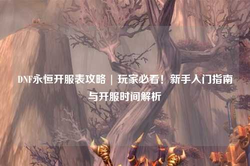 DNF永恒開服表攻略 | 玩家必看!新手入門指南與開服時間解析