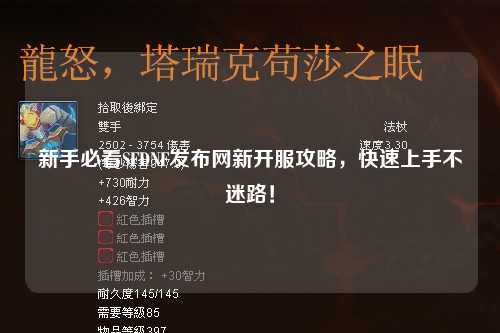 新手必看SFDNF發布網新開服攻略,快速上手不迷路!