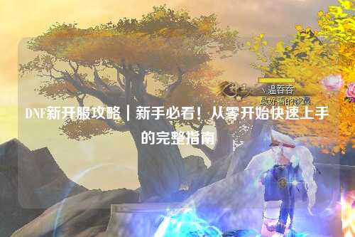 DNF新開服攻略｜新手必看！從零開始快速上手的完整指南?