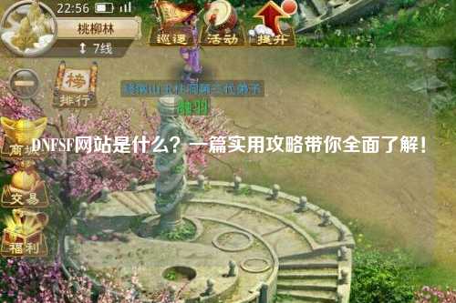 DNFSF網(wǎng)站是什么？一篇實用攻略帶你全面了解！