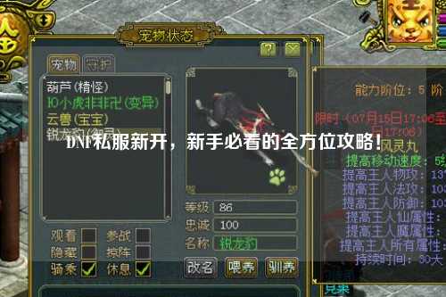 DNF私服新開，新手必看的全方位攻略！
