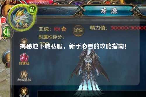 揭秘地下城私服，新手必看的攻略指南！