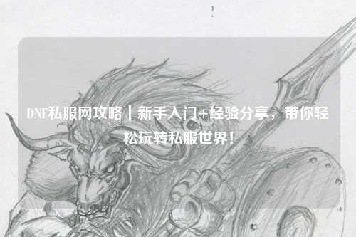 DNF私服網(wǎng)攻略|新手入門+經(jīng)驗分享,帶你輕松玩轉(zhuǎn)私服世界!