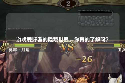 游戲愛好者的隱藏世界,你真的了解嗎?