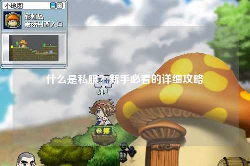 什么是私服？新手必看的詳細(xì)攻略