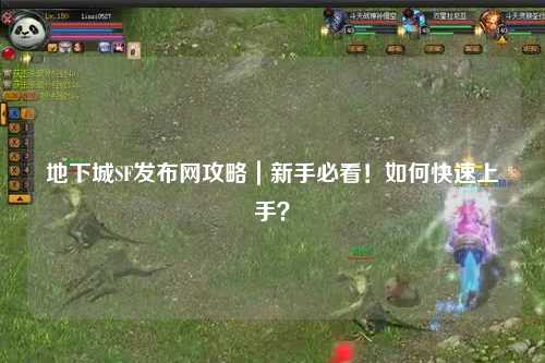 地下城SF發(fā)布網(wǎng)攻略|新手必看!如何快速上手?