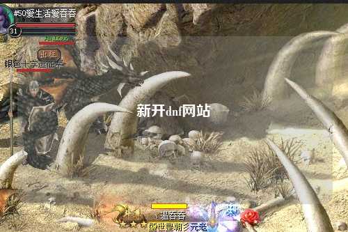 新開dnf網(wǎng)站