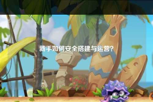 新手如何安全搭建與運營？