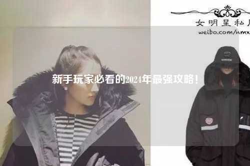 新手玩家必看的2024年最強(qiáng)攻略!