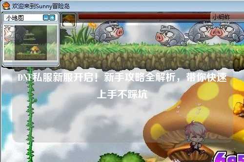 DNF私服新服開啟!新手攻略全解析,帶你快速上手不踩坑