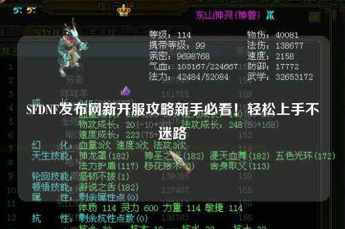 SFDNF發布網新開服攻略新手必看！輕松上手不迷路