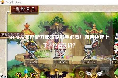 SFDNF發布網新開服攻略新手必看！如何快速上手，搶占先機？