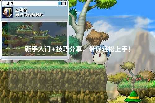 新手入門+技巧分享，帶你輕松上手！