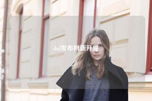 dnf發(fā)布網(wǎng)新開服