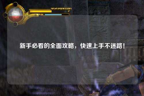 新手必看的全面攻略，快速上手不迷路！