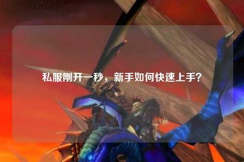 私服剛開一秒，新手如何快速上手？