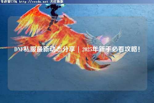 DNF私服最新動態(tài)分享 | 2025年新手必看攻略！