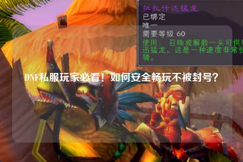 DNF私服玩家必看!如何安全暢玩不被封號?