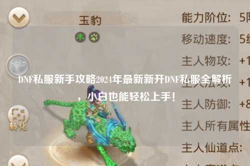 DNF私服新手攻略2024年最新新開DNF私服全解析，小白也能輕松上手！