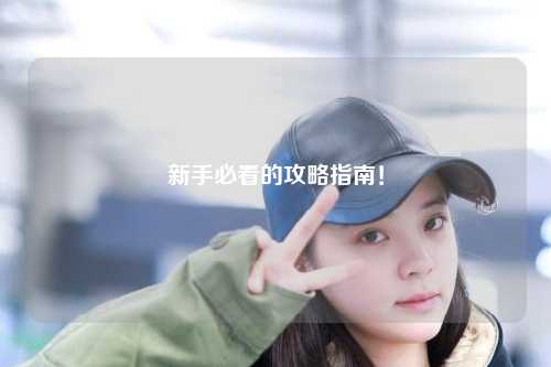 新手必看的攻略指南！