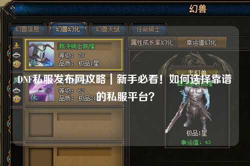 DNF私服發布網攻略｜新手必看！如何選擇靠譜的私服平臺？