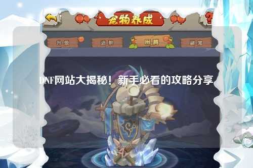 DNF網站大揭秘!新手必看的攻略分享?