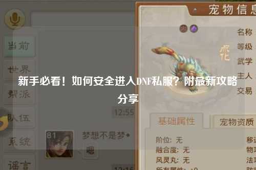 新手必看!如何安全進入DNF私服?附最新攻略分享