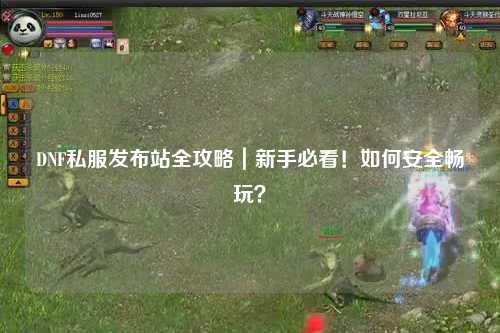DNF私服發布站全攻略|新手必看!如何安全暢玩?