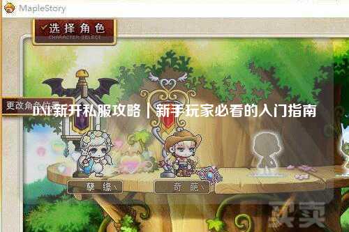 DNF新開(kāi)私服攻略｜新手玩家必看的入門指南
