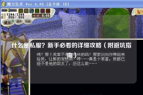 什么是私服？新手必看的詳細攻略（附避坑指南）