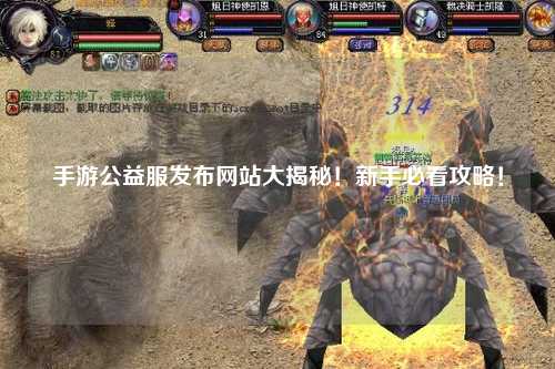 手游公益服發(fā)布網(wǎng)站大揭秘!新手必看攻略!