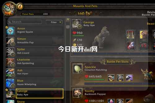 今日新開(kāi)dnf網(wǎng)