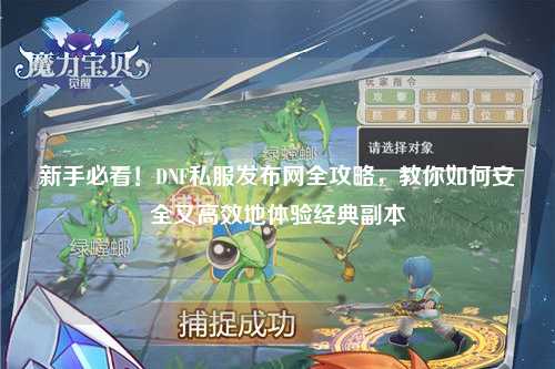 新手必看！DNF私服發布網全攻略，教你如何安全又高效地體驗經典副本