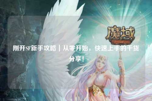 剛開SF新手攻略|從零開始,快速上手的干貨分享!